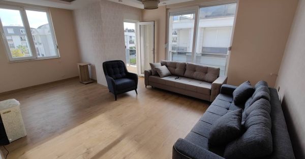 Карточка аренда