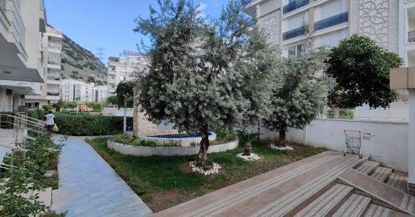 Карточка аренда